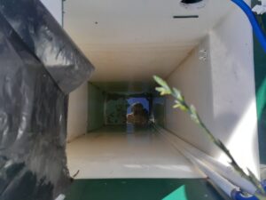 Сколько стоит обслуживание септика Юнилос астра
